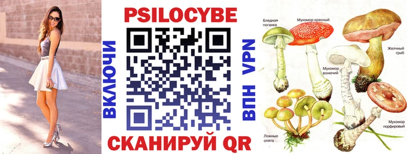 Псилоцибиновые грибы мицелий как найти Мглин
